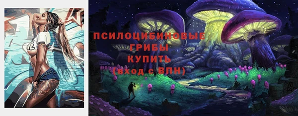 дурь Алексеевка
